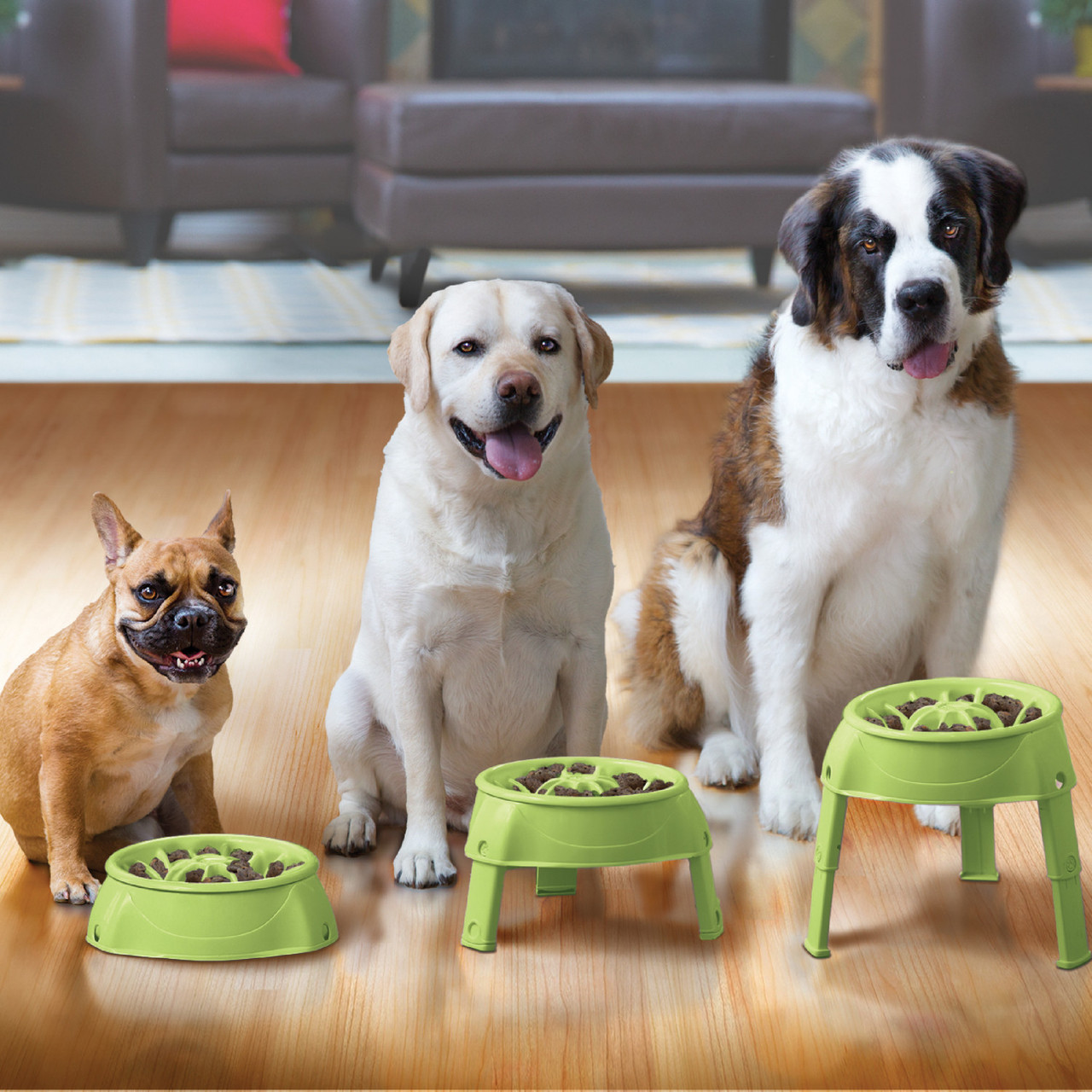 SLOW FEEDER DOG BOWL (SET OF 3)