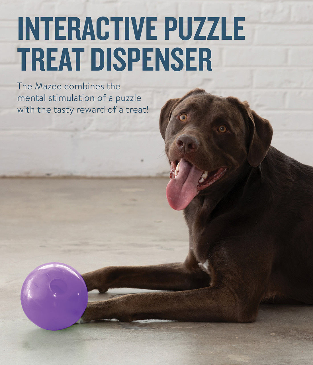 Adapted Dog Massager, Sensory Toys