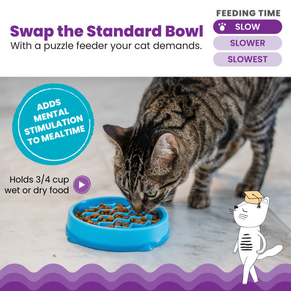 Petstages Kitty Slow Feeder Cat Bowl