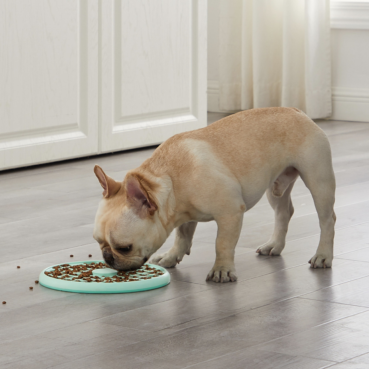 Feeding bowls deals for bulldogs