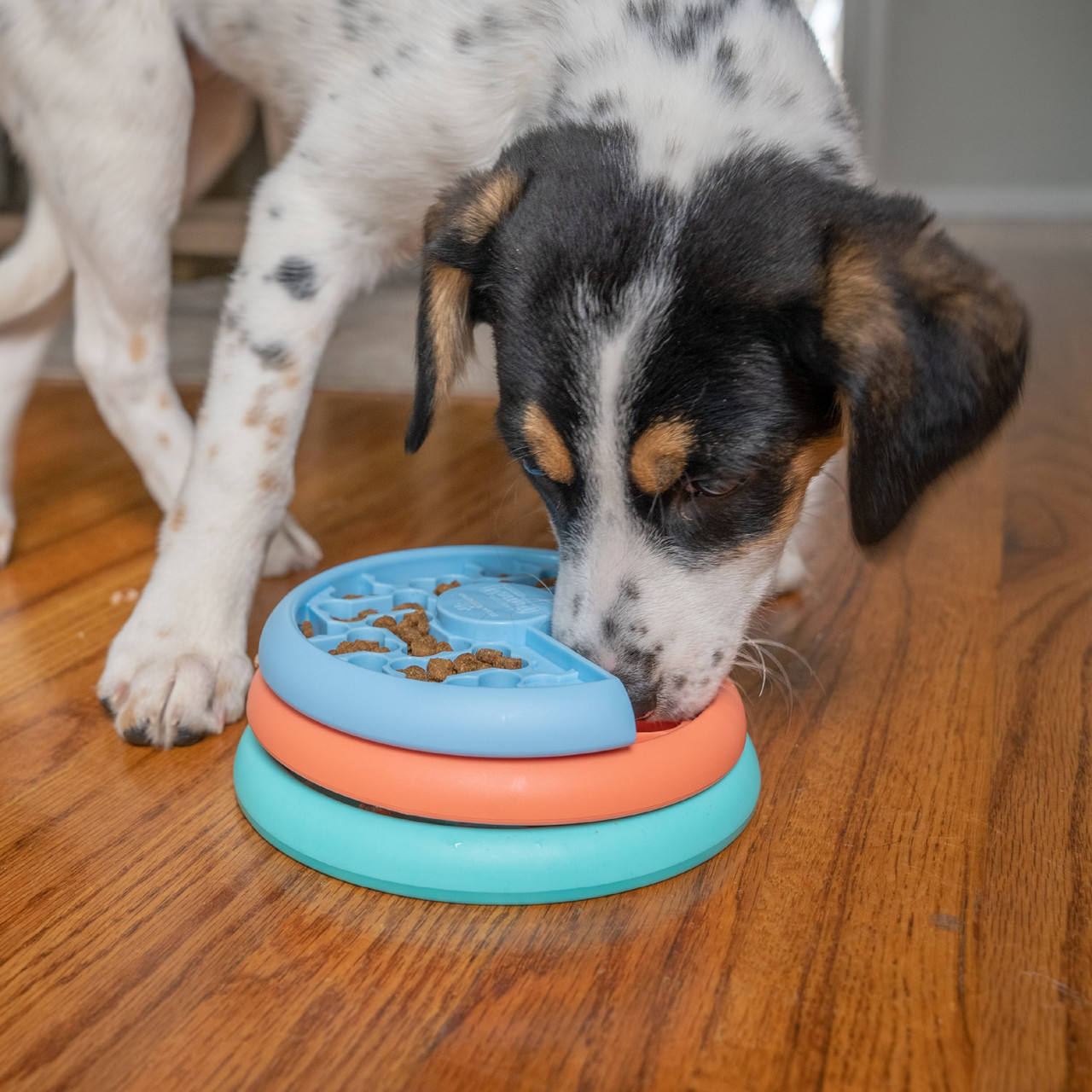 PUPPY LICKIN' LAYERS - DOG PUZZLE & FEEDER IN ONE - Nina Ottosson