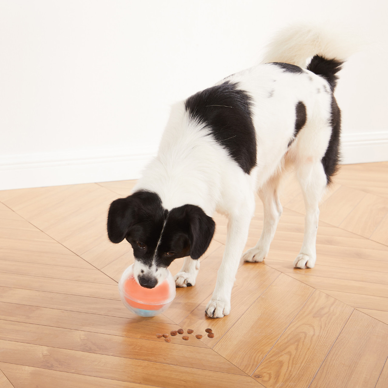 Outward Hound Tennis Maze Craze Dog Puzzle Toy, Blue, One-Size