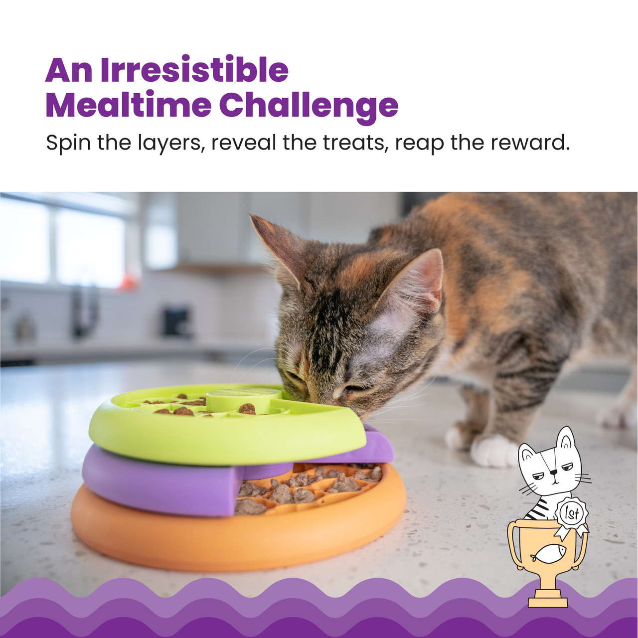 fun feeder for cats