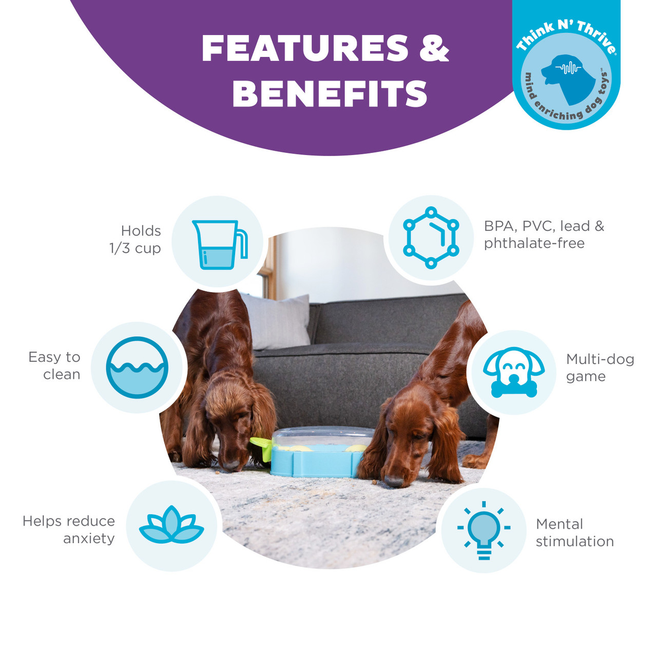 Nina Ottosson by Outward Hound Paw N' Play Dog Puzzle, Dog