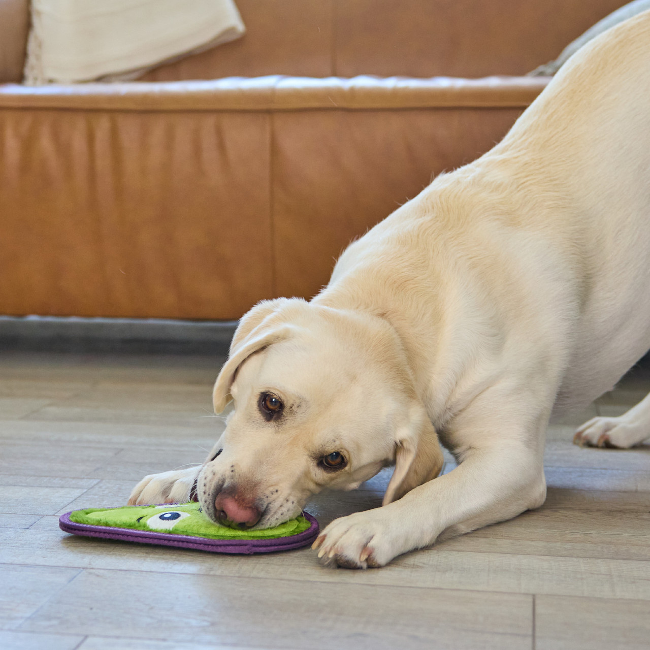 Outward Hound by Outward Hound Tough Skinz Avocado Durable