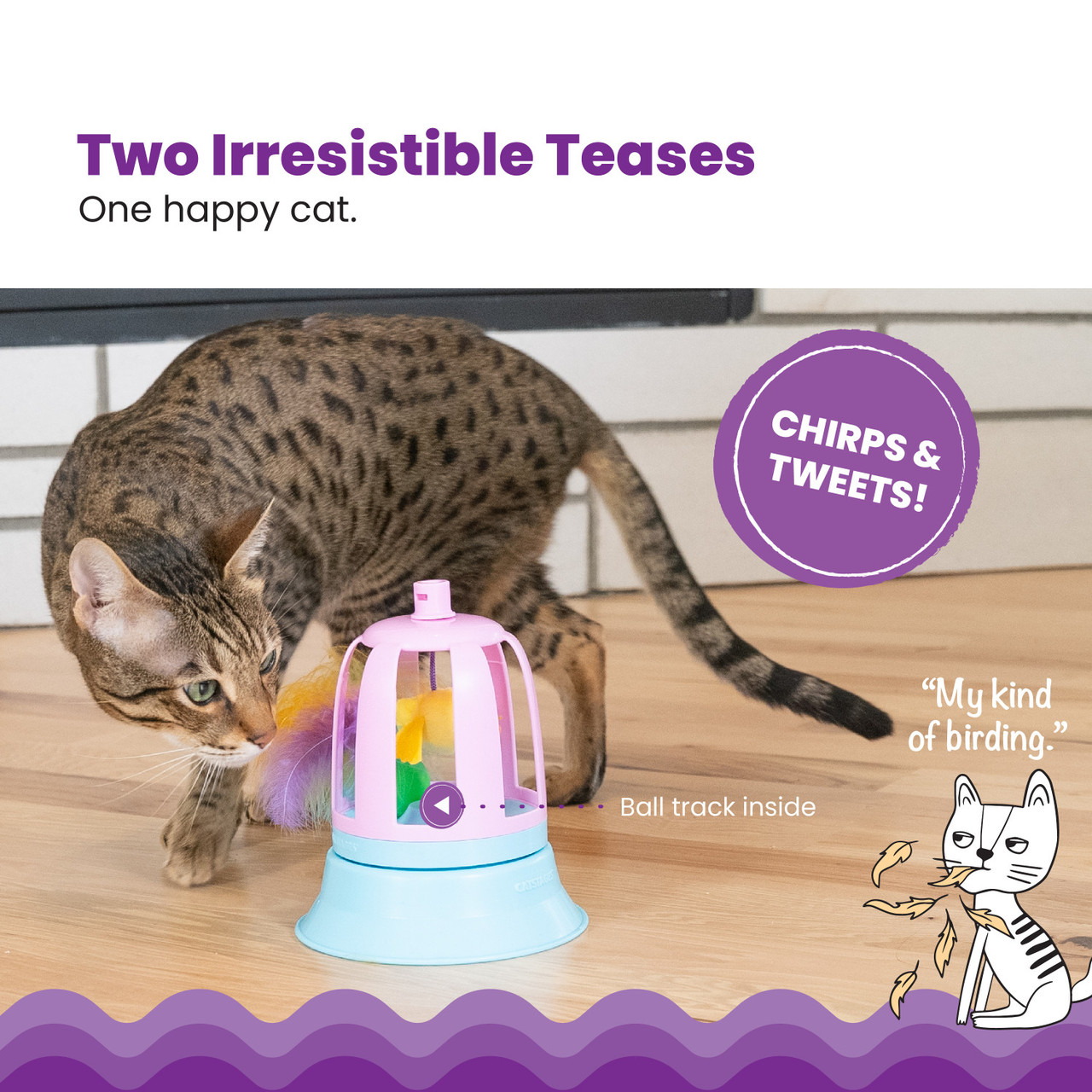 Catstages by Catstages 2-in-1 Chirping Bird Toy and Cat Track