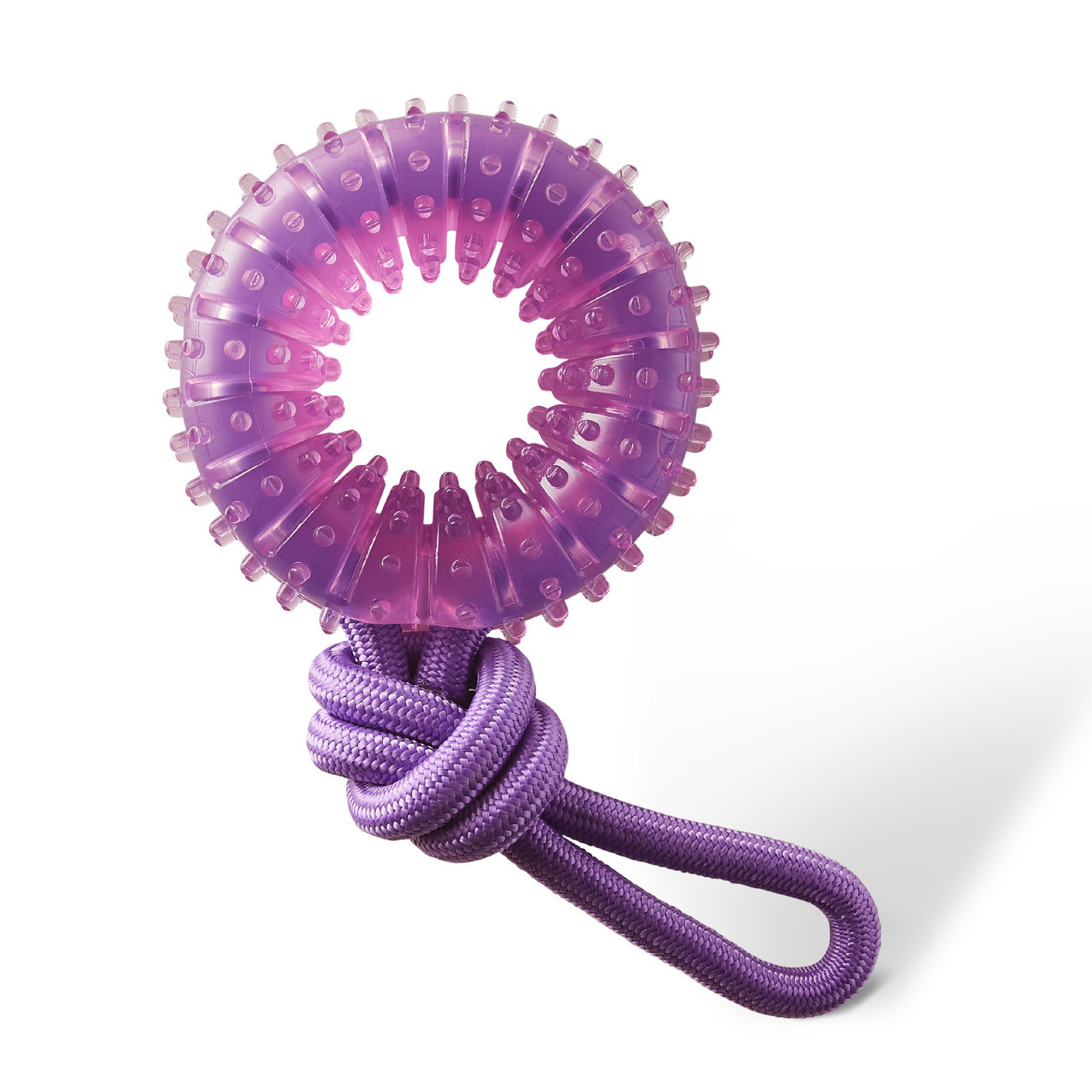 2-in-1 Dental Chew Wheel Dog Chew Toy and Tug Toy, Purple - The