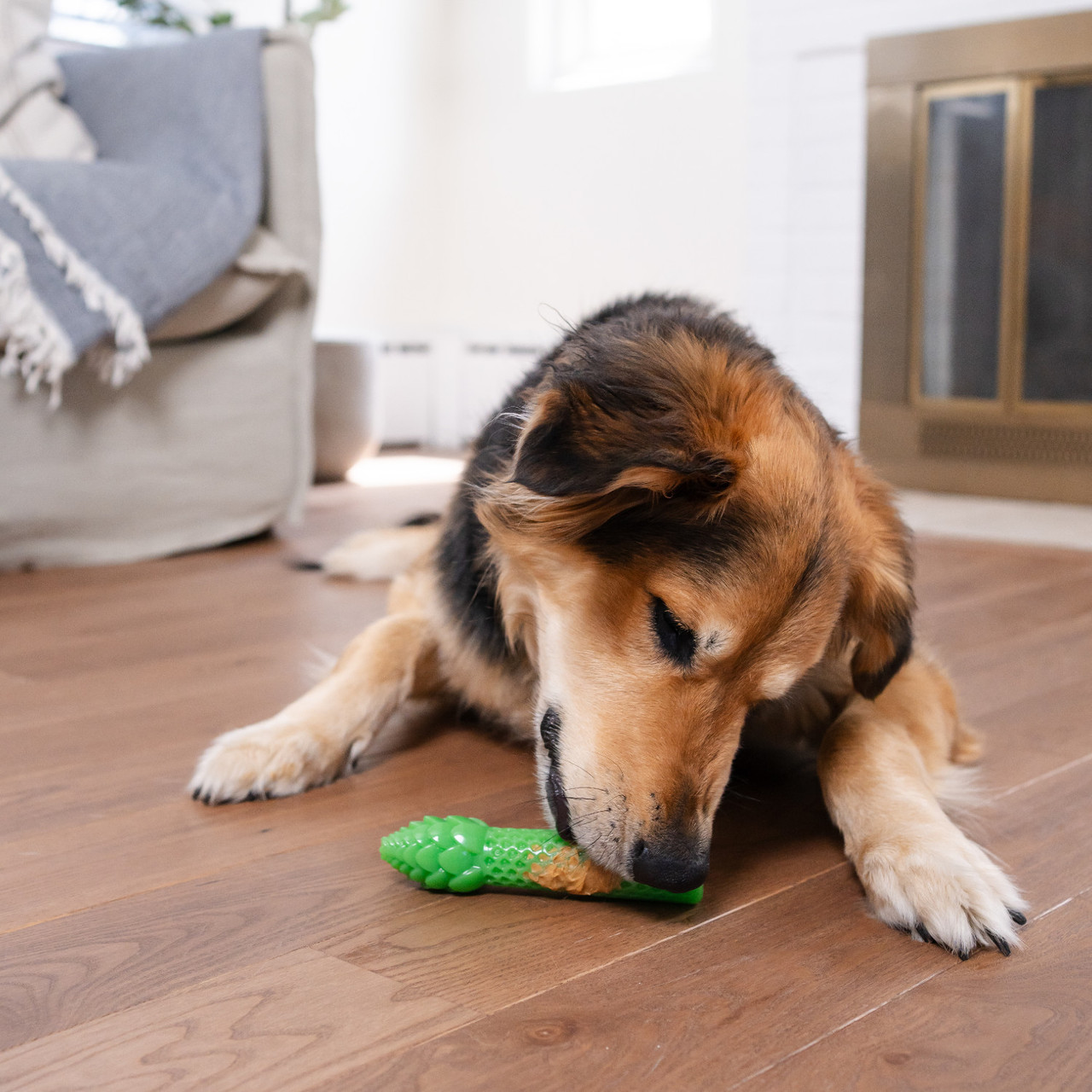 Dental Asparagus Treat-Dispensing Dental Dog Chew Toy, Medium