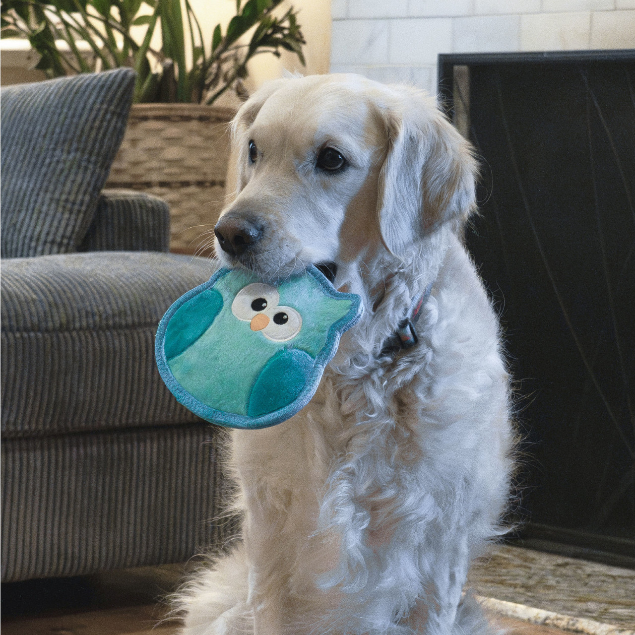 TS Owl Trq SM - The Companion Brands Company LLC dba Outward Hound