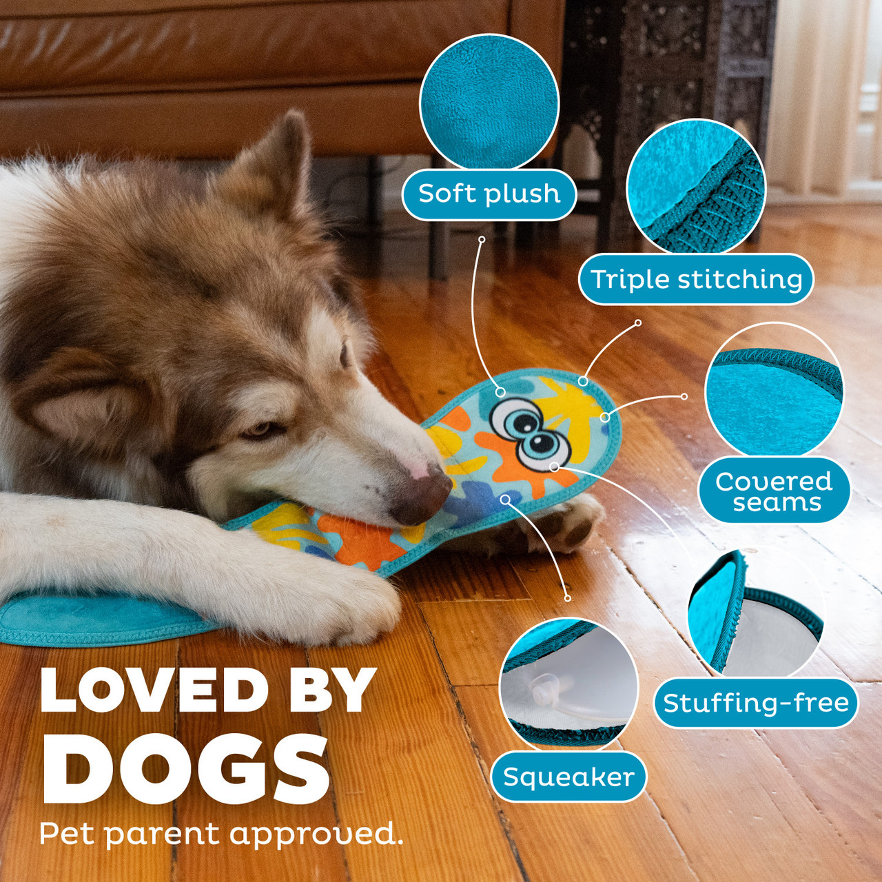 TS Snake 1E Blu LG - Outward Hound