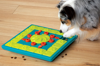 Nina Ottosson Dog Puzzle Dog Worker Composite - Petsonline