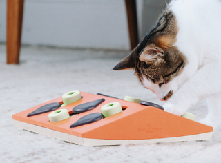 Cat Toy Box (3-Pack), Cat Enrichment Toys