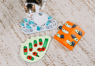 Nina Ottosson by Outward Hound Multipuzzle Toy - Floppycats™