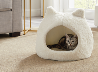 Cat Bed