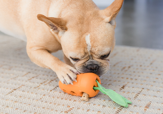 Grabberz Squeaky Dog Toy Treat Dispenser, Mint