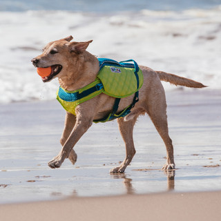 Boulder Grip Reflective Dog Leash