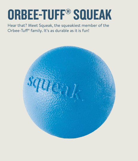 Orbee-Tuff Squeak Ball Dog Toy