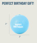 Orbee-Tuff Happy Birthday Ball Treat-Dispensing Dog Toy, Blue