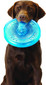 Orka Flyer Flying Disc Dog Toy, Royal Blue