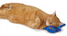 Cuddle Pal Plush Kitty Cat Toy, Blue
