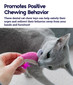 Dental Shrimpies Cat Chew Toy - 2 Pack, Multi