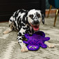 Durablez Gecko Plush Dog Toy, Medium