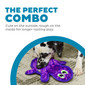 Durablez Gecko Plush Dog Toy, Medium