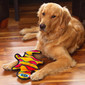 Durablez Gecko Plush Dog Toy, Medium