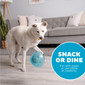 Orbee-Tuff Snoop Interactive Treat Dispensing Dog Toy, Large
