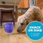 Orbee-Tuff Snoop Interactive Treat Dispensing Dog Toy, Small
