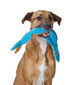 Stuffing-Free Big Squeak Plush Dog Toy