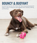 Orbee-Tuff Bone Dog Chew Toy