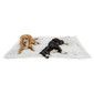 Shag Pet Throw Blanket, 40x50