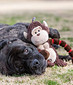 Thunda Tugga Plush Dog Tug Toy