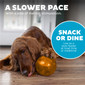 Orbee-Tuff Mazee Interactive Puzzle Dog Toy, Orange