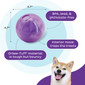 Mazee Interactive Puzzle Dog Toy, Purple