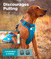 Boulder Adventure Adjustable Dog Harness, Turquoise, Small