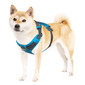 Boulder Adventure Adjustable Dog Harness, Turquoise, Medium