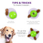 Dog Snuffle N' Treat Ball Dog Puzzle Dog Enrichment Toy