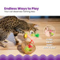 Hunt N' Wobble Fruit Bowl Wobbling Cat Toy