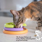 Kitty Lickin' Layers Cat Fun Feeder Treat Puzzle