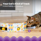 Bowl Track Scratcher Cat Ball Track, Multi