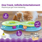 Infinity Ball Track for Cats