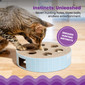 Scratch N' Hunt Puzzle Cat Toy, Blue