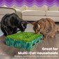 Grass Patch Hunting Box, Mint, Small