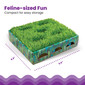Grass Patch Hunting Box, Mint, Small