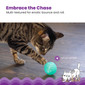 Ball Treat Stuffer Interactive Cat Toy, Green