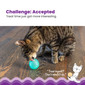 Ball Treat Stuffer Interactive Cat Toy, Green