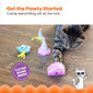 Happy Purrthday Birthday Themed Plush Catnip Blend Cat Toys, 3Pk, Multicolored