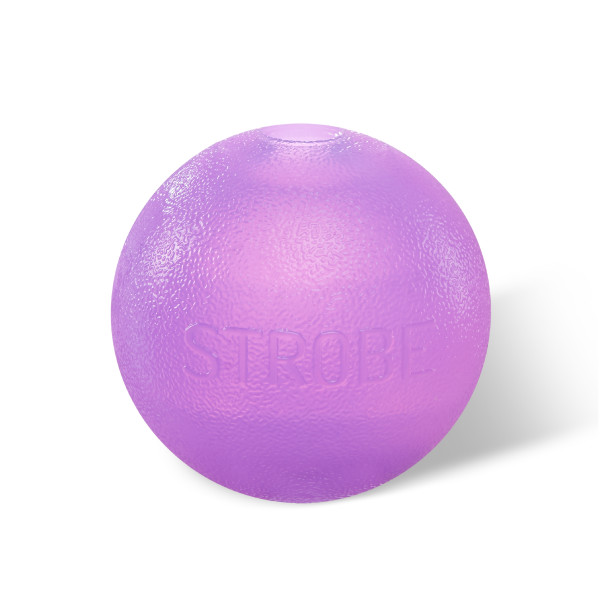 Planet Dog Orbee-Tuff Strobe Ball Light Up Dog Toy Purple